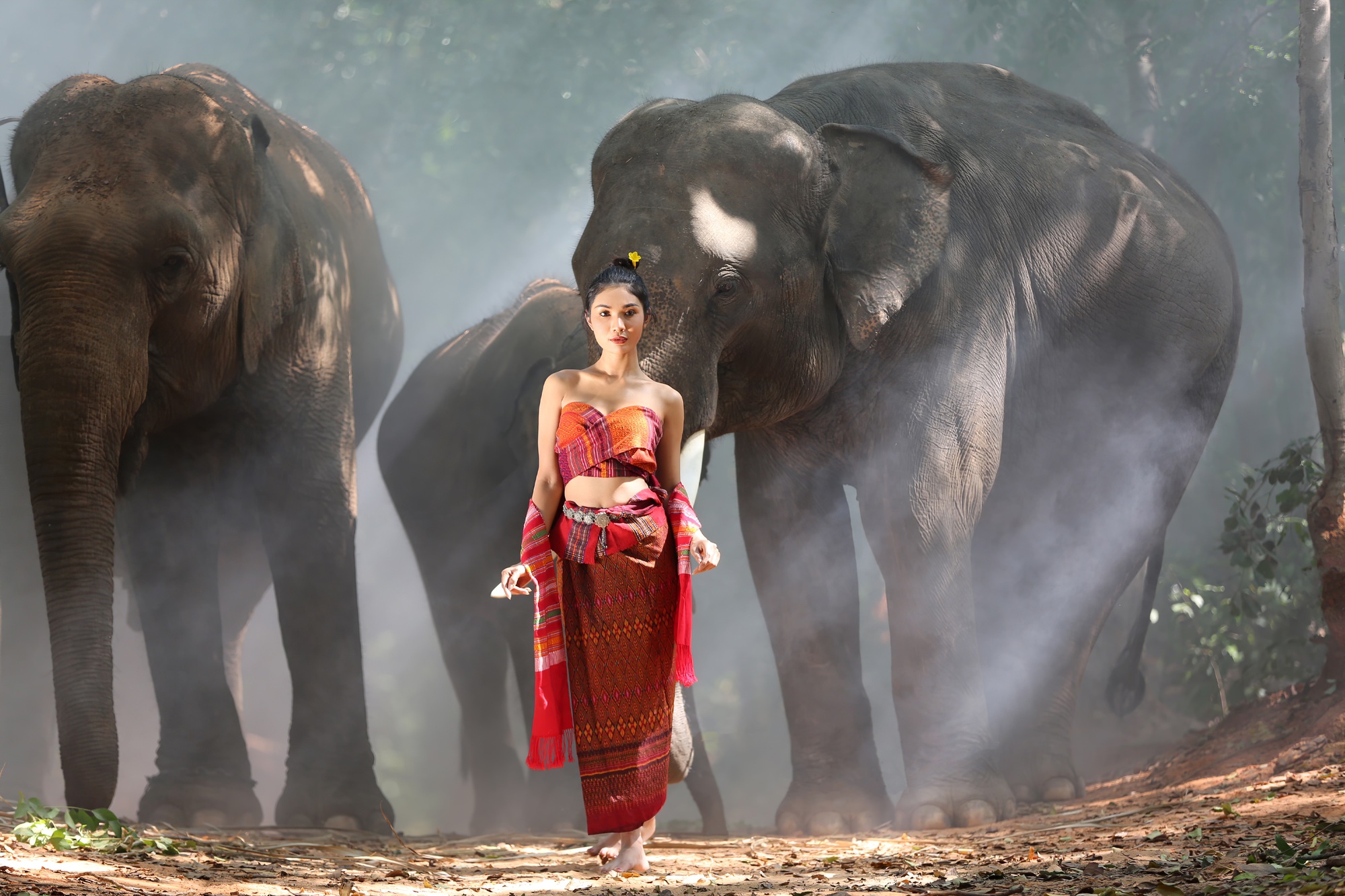 Elephant and woman in Thailand