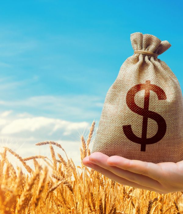 Dollar money bag on the background of wheat ears on a farm field. Food security.